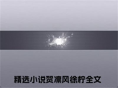 主角为贺凛风徐柠的小说全文完整版阅读