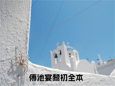 傅池宴黎初阅读无弹窗大结局_（傅池宴黎初阅读无弹窗）最新章节列表_笔趣阁（傅池宴黎初）