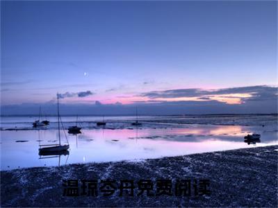 温琼岑舟全集小说（温琼岑舟）全文免费阅读无弹窗大结局_温琼岑舟最新章节列表_笔趣阁（温琼岑舟）