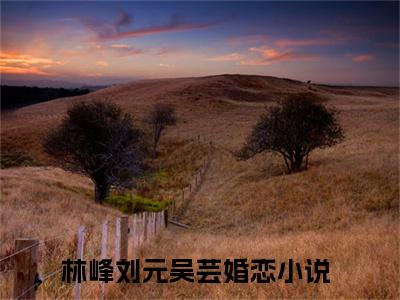 林峰刘元吴芸（林峰刘元吴芸全文免费阅读）小说最新章节_林峰刘元吴芸全文免费阅读最新章节列表