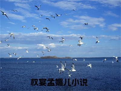权宴孟媚儿小说(权宴孟媚儿)全文免费阅读无弹窗大结局_(权宴孟媚儿)小说章节列表