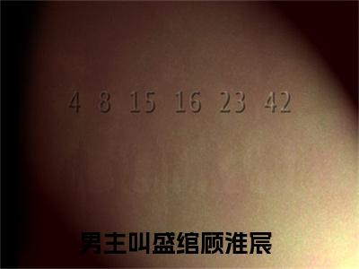 盛绾顾淮宸在哪免费看 盛绾顾淮宸结局是什么（盛绾顾淮宸）小说无弹窗免费阅读