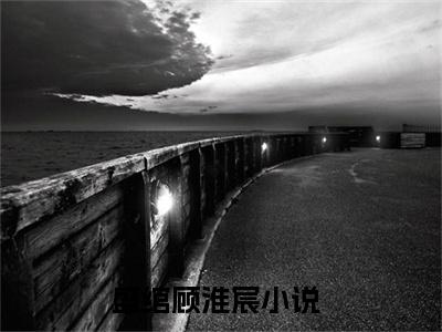 盛绾顾淮宸最新章节阅读-盛绾顾淮宸免费阅读大结局无弹窗