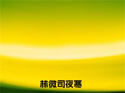林微司夜寒（林微司夜寒）全文免费阅读无弹窗_林微司夜寒最新小说_笔趣阁（林微司夜寒）