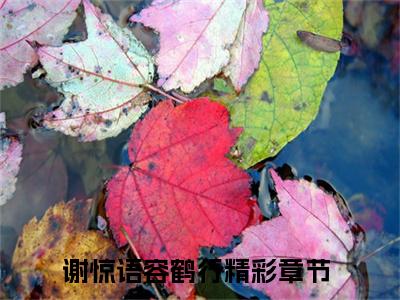 主角谢惊语容鹤行小说免费阅读全文谢惊语容鹤行-谢惊语容鹤行小说番外谢惊语容鹤行全文阅读