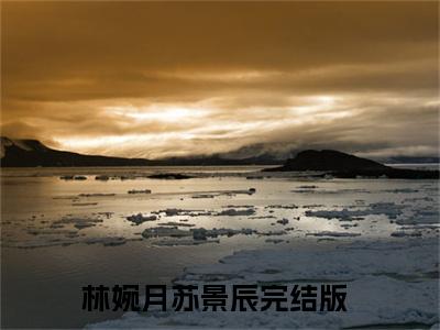 林婉月苏景辰最新完结免费阅读-林婉月苏景辰悬疑小说在线阅读