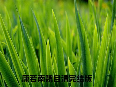 康若南魏自清（康若南魏自清小说）在线阅读全文_康若南魏自清小说免费阅读完结版全文（康若南魏自清）