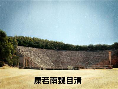 康若南魏自清全文免费完整版,康若南魏自清最新章节完整版阅读