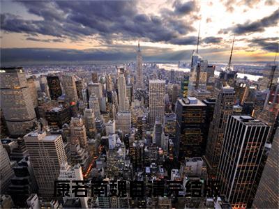 康若南魏自清（康若南魏自清小说）在线阅读全文_康若南魏自清小说免费阅读完结版全文（康若南魏自清）