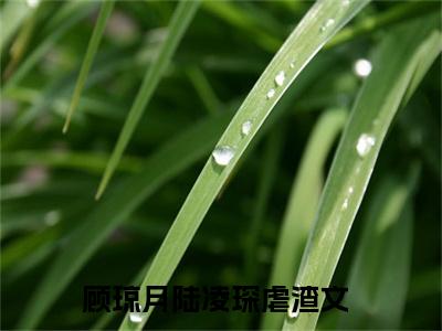 顾琼月陆凌琛(顾琼月陆凌琛)全文在线顾琼月陆凌琛读无弹窗大结局_顾琼月陆凌琛在线读无弹窗最新章节列表_笔趣阁