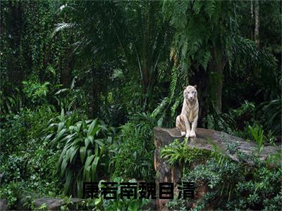 康若南魏自清全文免费完整版,康若南魏自清最新章节完整版阅读