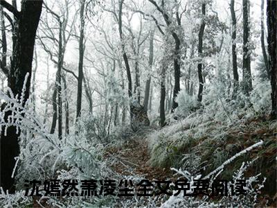 沈嫣然萧凌尘（沈嫣然萧凌尘）全文免费阅读_沈嫣然萧凌尘（沈嫣然萧凌尘）最新章节小说免费阅读（沈嫣然萧凌尘）