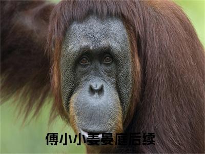 老婆大人，醋不好吃免费阅读无弹窗大结局-傅小小姜晏庭最新全章节全文阅读免费阅读-笔趣阁