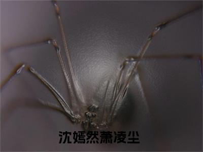 沈嫣然萧凌尘（沈嫣然萧凌尘）全文免费阅读无弹窗大结局_（沈嫣然萧凌尘）已完结全集大结局小说