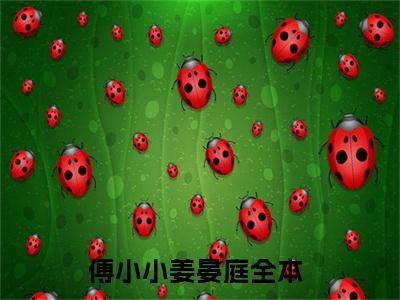 【新书】《傅小小姜晏庭》全文免费阅读最新章节大结局-老婆大人，醋不好吃 全文全章节免费阅读