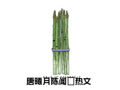 唐曦月陈闻璟（唐曦月陈闻璟）全文免费阅读无弹窗大结局_唐曦月陈闻璟全文免费阅读（唐曦月陈闻璟）最新章节列表_笔趣阁（唐曦月陈闻璟）