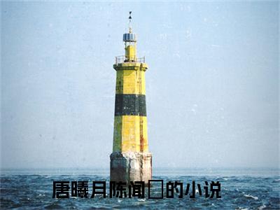 唐曦月陈闻璟小说（唐曦月陈闻璟）全文免费阅读无弹窗大结局_(唐曦月陈闻璟小说免费阅读)唐曦月陈闻璟小说最新章节列表_笔趣阁