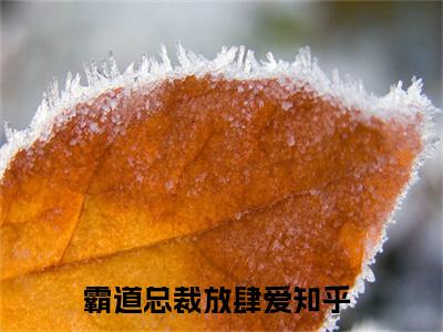厉宇宸宁媛全本资源（霸道总裁放肆爱）全文免费阅读无弹窗大结局_霸道总裁放肆爱最新章节列表（厉宇宸宁媛）
