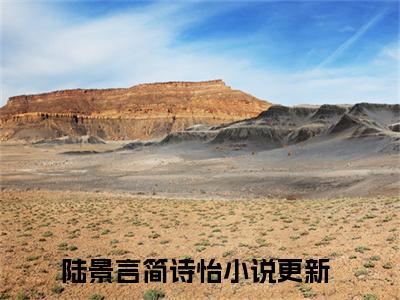 陆景言简诗怡（陆景言简诗怡小说)全文免费阅读无弹窗大结局_陆景言简诗怡全文免费阅读_笔趣阁