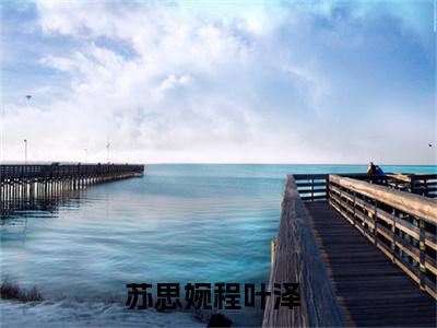苏思婉程叶泽完整版（苏思婉程叶泽小说）全文免费阅读无弹窗大结局_苏思婉程叶泽最新章节（苏思婉程叶泽全文）
