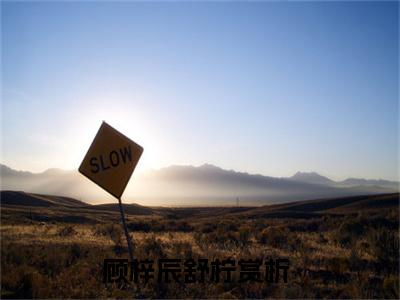 顾梓辰舒柠（顾梓辰舒柠）全文免费阅读无弹窗大结局_顾梓辰舒柠完整版小说阅读（顾梓辰舒柠）
