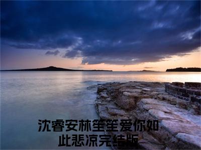 沈睿安林笙笙热推新书小说全文（爱你如此悲凉）全文免费阅读_沈睿安林笙笙最新章节无弹窗阅读