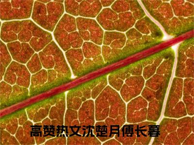 沈楚月傅长暮全文免费阅读无弹窗大结局_(沈楚月傅长暮阅读全文大结局)沈楚月傅长暮最新章节列表（沈楚月傅长暮）