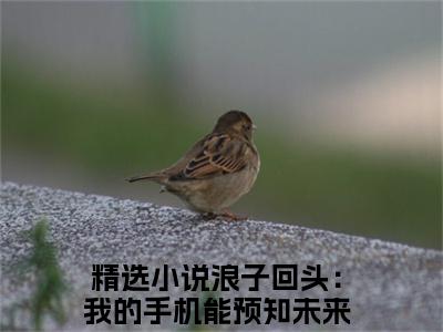 浪子回头：我的手机能预知未来刘正阳全文免费阅读全文免费阅读无弹窗大结局_浪子回头：我的手机能预知未来刘正阳全文免费阅读_笔趣阁