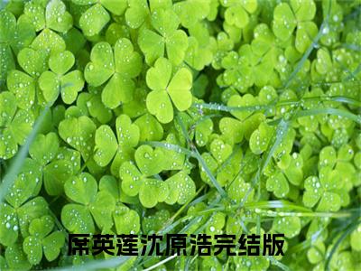 她的噩梦成真了(席英莲沈原浩)全文免费阅读大结局_(她的噩梦成真了)席英莲沈原浩无弹窗最新章节列表_笔趣阁(她的噩梦成真了)