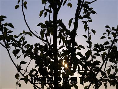 她的噩梦成真了（席英莲沈原浩）全文免费阅读无弹窗大结局_（她的噩梦成真了全文免费阅读无弹窗）席英莲沈原浩最新章节列表_笔趣阁（她的噩梦成真了）