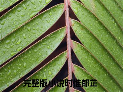 时惟郁芷小说完整版阅读 时惟郁芷全文在线赏析