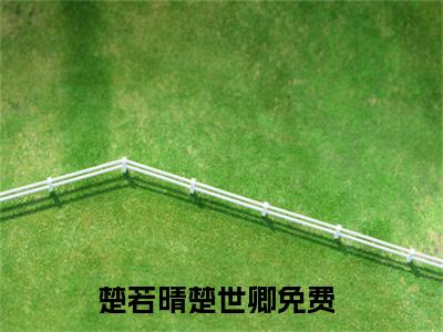 楚若晴楚世卿（楚若晴楚世卿）完整版小说阅读大结局_楚若晴楚世卿（楚若晴楚世卿）全文免费阅读笔趣阁（楚若晴楚世卿）