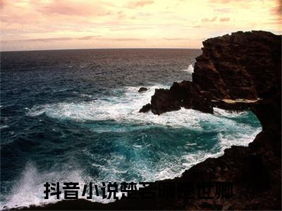 满分小说（楚若晴楚世卿）全文免费阅读 楚若晴楚世卿言情小说讲的是什么