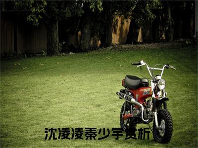 沈凌凌秦少宇小说最新章节-沈凌凌秦少宇在线全文免费阅读