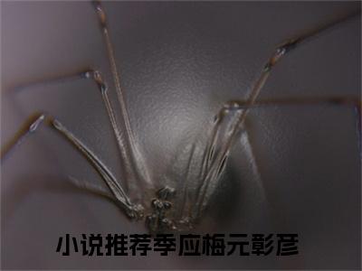 季应梅元彰彦（季应梅元彰彦）全文免费阅读无弹窗大结局小说-季应梅元彰彦最新章节阅读