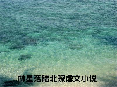 林星落陆北琛(林星落陆北琛)全文免费阅读无弹窗大结局_(林星落陆北琛免费阅读全文大结局)最新章节列表_笔趣阁（林星落陆北琛）