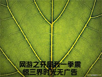 网游之开局我一拳震惊三界时光（网游之开局我一拳震惊三界时光）全文小说完整版-（网游之开局我一拳震惊三界时光）网游之开局我一拳震惊三界时光全文无删减免费阅读