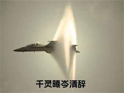 千灵曦岑清辞全章节目录千灵曦岑清辞小说阅读