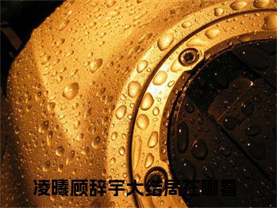 这一世抱好弟弟大腿小说凌曦顾辞宇最新章节阅读-最新热点小说这一世抱好弟弟大腿