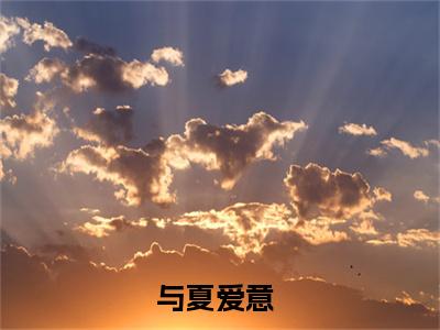 与夏爱意（赵行衍沈夏）全文免费阅读_(赵行衍沈夏)与夏爱意最新章节列表_笔趣阁