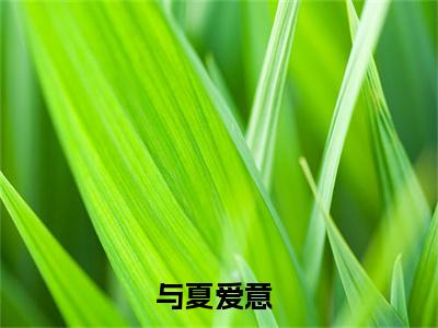赵行衍沈夏（与夏爱意）小说最新推荐-与夏爱意赵行衍沈夏小说在线分享