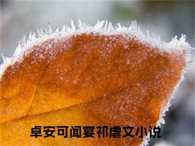 卓安可闻宴祁是什么 卓安可闻宴祁免费阅读全文