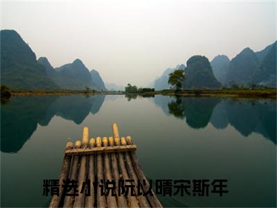 阮以晴宋斯年（阮以晴宋斯年）全文免费阅读无弹窗大结局_阮以晴宋斯年在线阅读（阮以晴宋斯年）