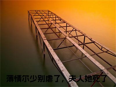 小说薄情尔少别虐了，夫人她死了完整版在线阅读 薛安冉尔衍宸精选小说推荐试读