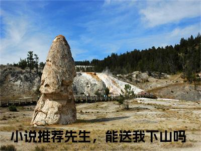 先生，能送我下山吗小说免费阅读无弹窗《姜萌谢聿州》_姜萌谢聿州全文阅读先生，能送我下山吗