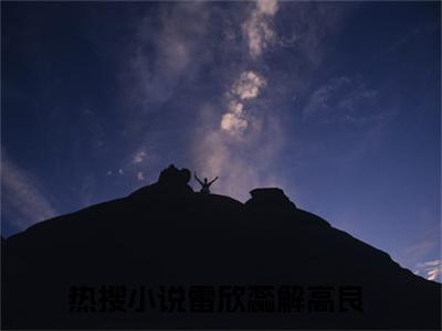 雷欣蕊解高良小说免费阅读-（雷欣蕊解高良）言情小说雷欣蕊解高良讲的是什么