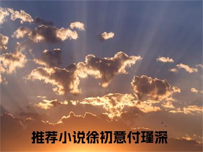 徐初意付瑾深（徐初意付瑾深）全文免费阅读无弹窗大结局-徐初意付瑾深最新章节列表免费阅读