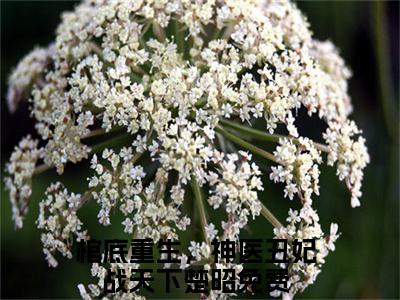 棺底重生，神医丑妃战天下楚昭（棺底重生，神医丑妃战天下楚昭）全章节完整版《棺底重生，神医丑妃战天下楚昭》全文阅读TXT《棺底重生，神医丑妃战天下楚昭》