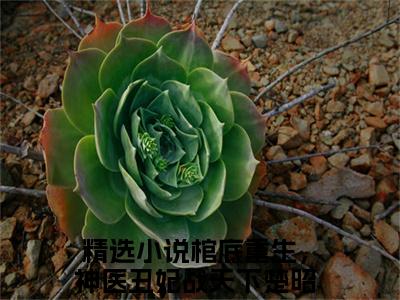 老书虫良心推荐《棺底重生，神医丑妃战天下楚昭》棺底重生，神医丑妃战天下楚昭小说精彩免费试读