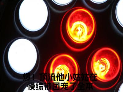 爆！顶流他小姑姑在慢综被团宠了最新热门小说-（爆！顶流他小姑姑在慢综被团宠了）最新章节免费阅读